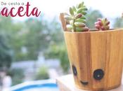 DIY: cesta maceta