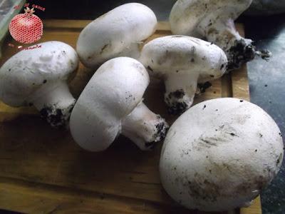 Champiñones en vinagre