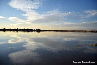 HUMEDALES DE LA MANCHA - LAGUNAS DE VILLAFRANCA DE LOS CABALLEROS