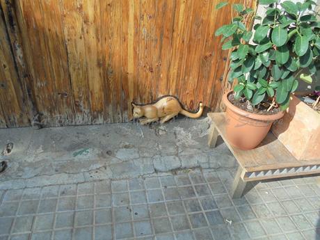 LARA GOMEZ Y DIEGO CÁCERES, ARTISTAS, A LA BARCELONA D' ABANS, D' AVUI I DE SEMPRE...3-11-2016...!!!