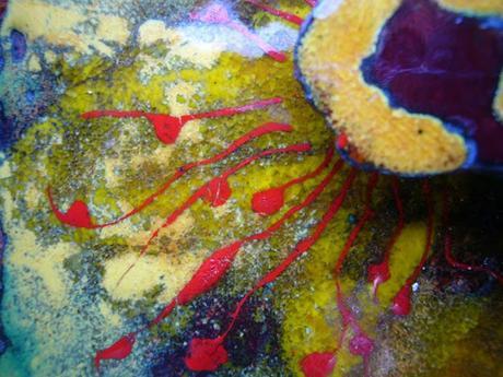 LARA GOMEZ Y DIEGO CÁCERES, ARTISTAS, A LA BARCELONA D' ABANS, D' AVUI I DE SEMPRE...3-11-2016...!!!