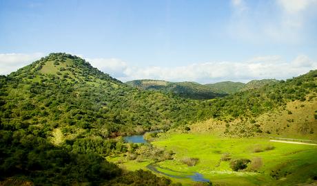 paisaje-en-sierra-morena-autor-sba73