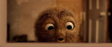 Una adorable bola de pelos púbicos es la protagonista de este videoclip