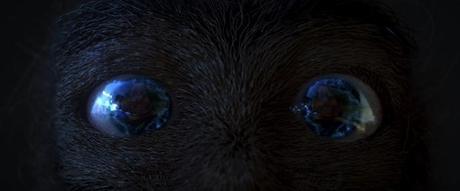 Una adorable bola de pelos púbicos es la protagonista de este videoclip