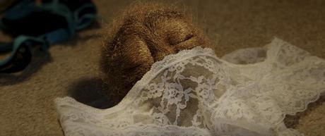 Una adorable bola de pelos púbicos es la protagonista de este videoclip