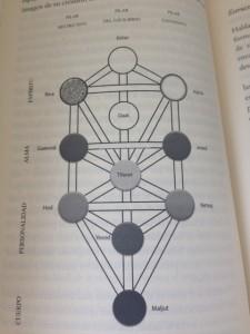 arbol-vida-Libros-Prohibidos