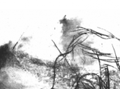 Weldon Kees. club crimen