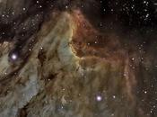 nebulosa Pelícano César Blanco
