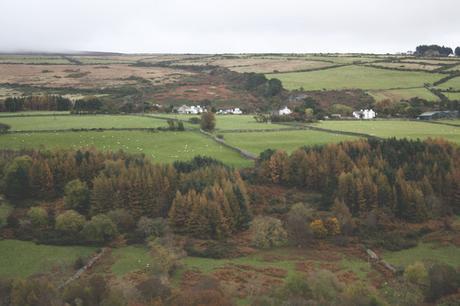 This week in my life... (9)