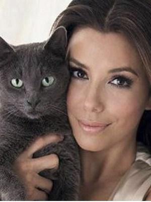 Los Felinos y sus fieles Amas G6