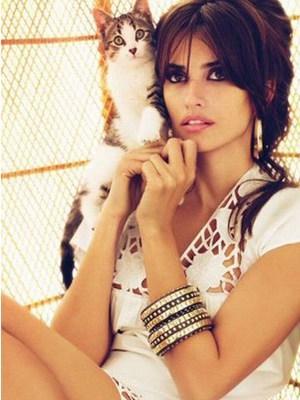 Los Felinos y sus fieles Amas Gato 2