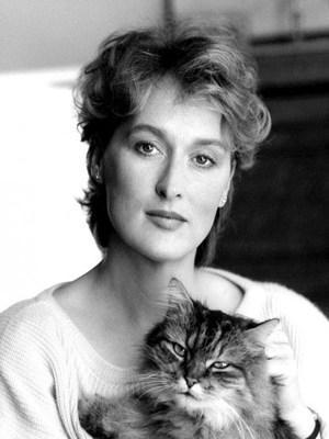 Los Felinos y sus fieles Amas Gato 5