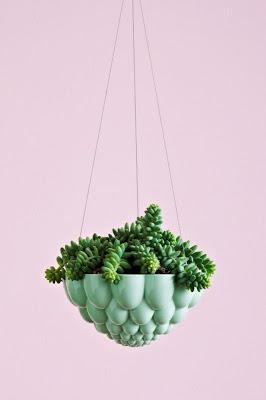OPCIONES DIEZ PARA DECORAR CON PLANTAS COLGADAS... OPCIONES DIEZ PARA DECORAR CON PLANTAS COLGADAS...