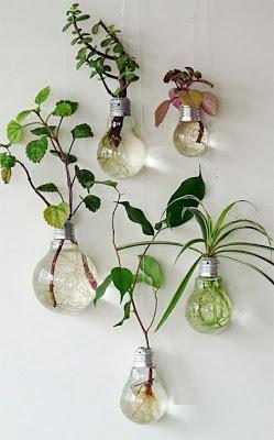 OPCIONES DIEZ PARA DECORAR CON PLANTAS COLGADAS... OPCIONES DIEZ PARA DECORAR CON PLANTAS COLGADAS...