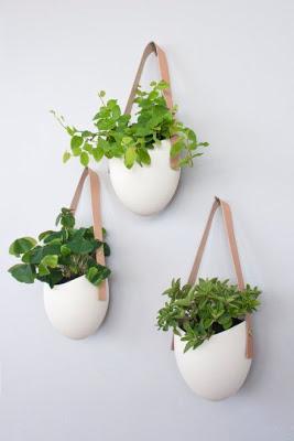 OPCIONES DIEZ PARA DECORAR CON PLANTAS COLGADAS... OPCIONES DIEZ PARA DECORAR CON PLANTAS COLGADAS...