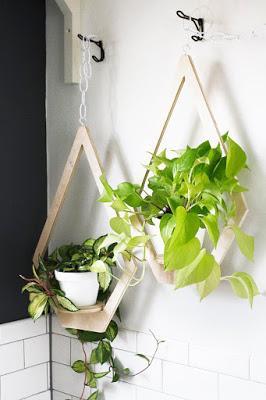 OPCIONES DIEZ PARA DECORAR CON PLANTAS COLGADAS... OPCIONES DIEZ PARA DECORAR CON PLANTAS COLGADAS...
