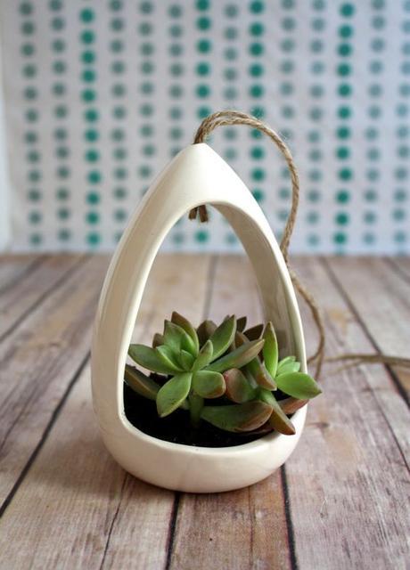 OPCIONES DIEZ PARA DECORAR CON PLANTAS COLGADAS... OPCIONES DIEZ PARA DECORAR CON PLANTAS COLGADAS...