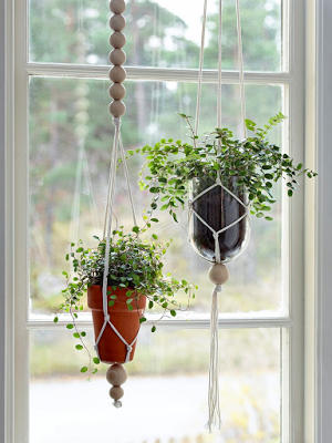 OPCIONES DIEZ PARA DECORAR CON PLANTAS COLGADAS... OPCIONES DIEZ PARA DECORAR CON PLANTAS COLGADAS...