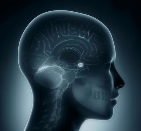 Controla tus emociones con el biofeedback de la amígdala