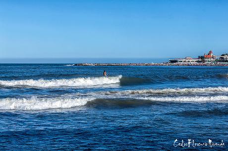 Un surfista sobre las olas del mar en Mar del Plata