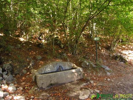 Fuente de Fonfría, Fuente Dé.