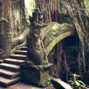 Monkey forest en Ubud