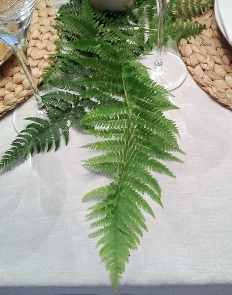 Mesa decorada con helechos