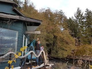 UN POCO DE OCÉANO EN QUADRA ISLAND UN POCO DE OCÉANO EN QUADRA ISLAND