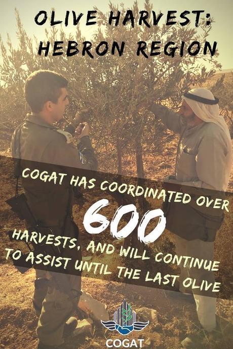 14938155_1135412093221140_3943302329064769181_n