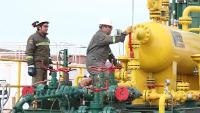 Amplían acuerdo para inversión en Vaca Muerta