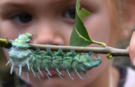 [Resumen de Prensa] Lo mejor de la semana del 31 de octubre al 6 de noviembre de 2016