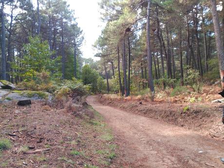 El Castañar de Casillas | Ruta senderista