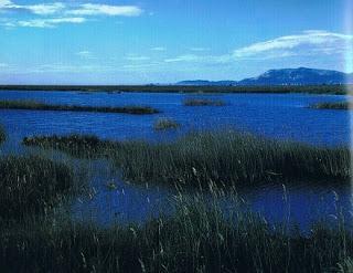 Parque del Prat de Cabanes i Torreblanca. Parque del Prat de Cabanes i Torreblanca.