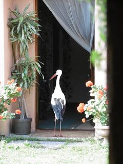 Día 10: Marija Bistrica - Klanjec - Kumrovec - Catillo de Veliki Tabor - Castillo de Trakoscan - Varazdin