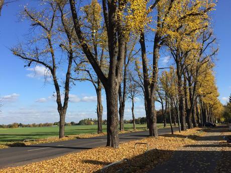 Kaiserswerth: la isla del Emperador Kaiserswerth: la isla del Emperador