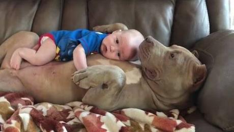 la-profunda-conexion-entre-un-bebe-y-un-perro-bulldog-que-sorprende-al-mundo