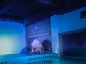 Pizza, triste mundo roto miles corazones