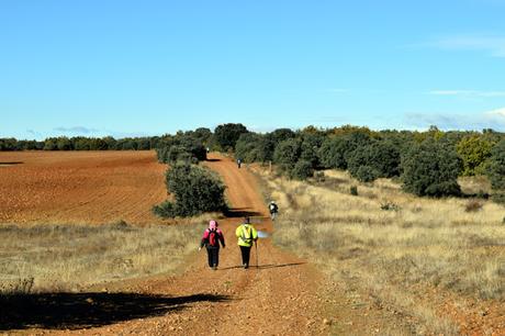 Sembrando el Camino, 2016.