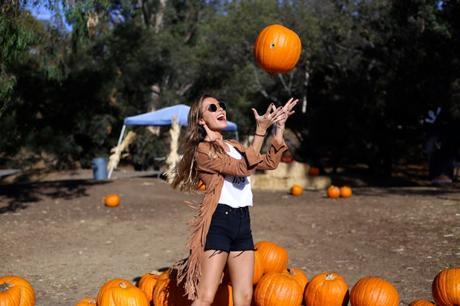 LA diary: pumpkins patch IMG_0792