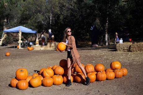 LA diary: pumpkins patch IMG_0663