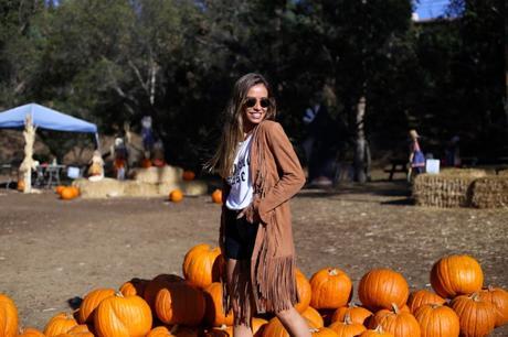 LA diary: pumpkins patch IMG_0721