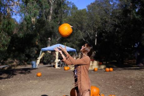 LA diary: pumpkins patch IMG_0785