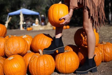 LA diary: pumpkins patch IMG_0704