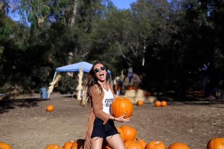 LA diary: pumpkins patch IMG_0794