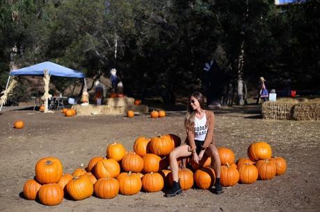 LA diary: pumpkins patch IMG_0696