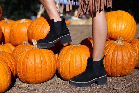 LA diary: pumpkins patch IMG_0705