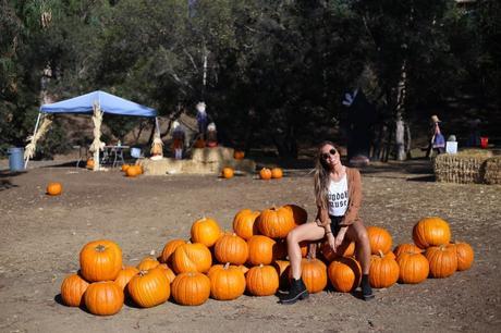 LA diary: pumpkins patch IMG_0699
