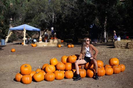LA diary: pumpkins patch IMG_0702