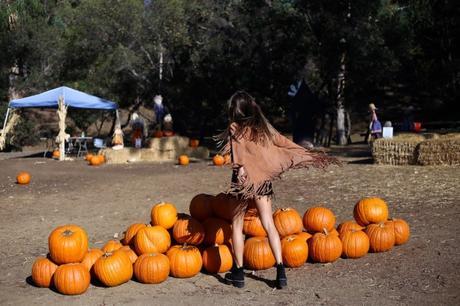 LA diary: pumpkins patch IMG_0683