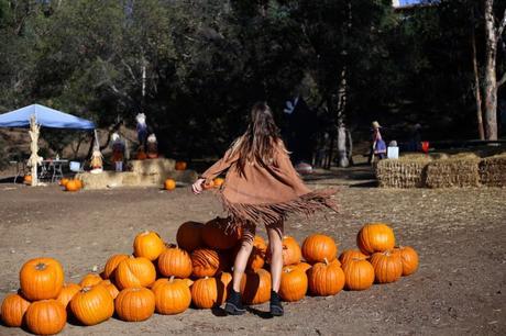 LA diary: pumpkins patch IMG_0671